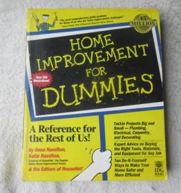 HomeImprovementforDummies