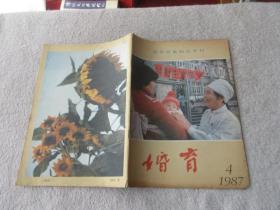 婚育1987年4月（总第九期）：避孕节育知识专刊