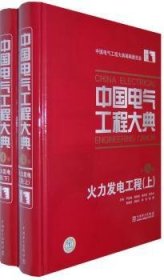 【正版】 火力发电工程第4卷(上,下)中国电气工程大典C1007严宏强