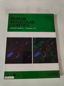 HUMAN MOLECULAR GENETICS Volume 25 Number 17 1 September 2016 人类分子遗传学第25卷第17期2016年9月1日