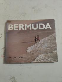 BERMUDA 百慕大