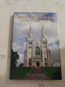 IRISH CATHEDRALS CHURCHES AND ABBEYS