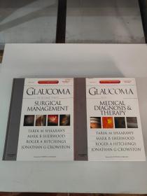 GLAUCOMA VOLUME 1-2   青光眼第1-2卷