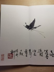 [清仓特价]潘天寿菊石图卷 货号104429