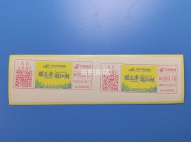 [特惠]2025.3.20 武汉2025马拉松 首发 彩色机戳签条 双联（0.1）货号104611-1