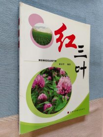 红三叶