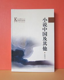 小说中国及其他