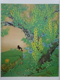 （珍本图书）近代日本的花鸟画 花鸟风月