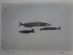 日本の现代版画1 三人の铜版画展