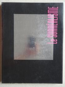 法国超现实主义艺术作品集 Le Surrealisme
