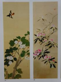 （珍本图书）近代日本的花鸟画 花鸟风月