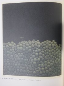 日本の现代版画1 三人の铜版画展