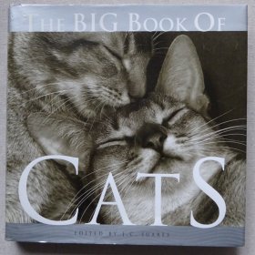 The BIG Book Of CATS