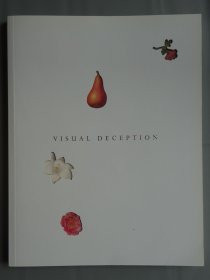 VISUAL DECEPTION 视觉欺骗绘画作品