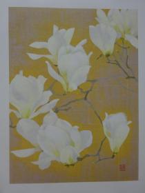 松冈政信画集 花之谱
