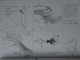 日本画技法 第1卷