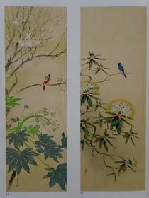 （珍本图书）近代日本的花鸟画 花鸟风月