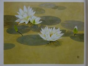 松冈政信画集 花之谱