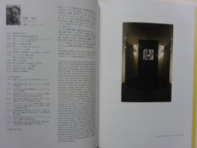 日本当代艺术作品集Shinbism4