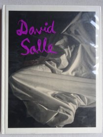 DAVID SALLE PHOTOGRAPHS