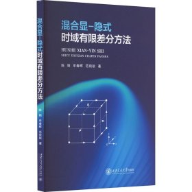 混合显-隐士时域有限差分方法