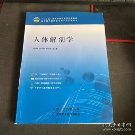 人体解剖学