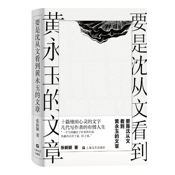 要是沈从文看到黄永玉的文章 中国名人传记名人名言 张新颖