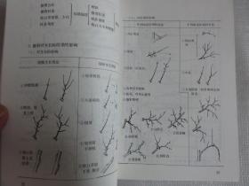 实用果树整形修剪系列图解.苹果