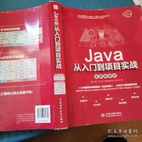 Java从入门到项目实战（全程视频版）