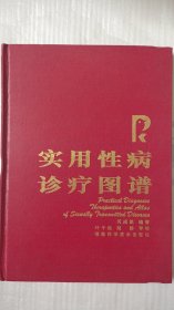 实用性病诊疗图谱 何成雄 编著 （生殖系统解剖与生理，性病的症状与体征以及流行趋势和传播途径. 诊断治疗方法）