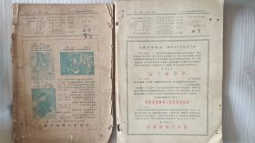 美术杂志（1956年1月号、2月号、3月号、4月号）4本合售