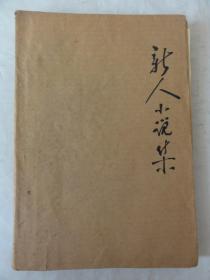 新人小说选（齐平、任斌武、王世阁、林雨、官伟勋等多人）1965年