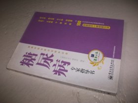 糖尿病专家指导书：健康时报专家访谈精华实录