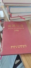 金湖年鉴（1996）（书脊严重开裂）