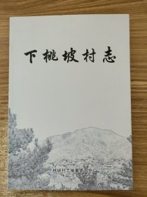 下桃坡村志（赞皇县）