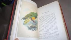 1889年 Manual of British Birds 博物学经典《绘图本英国鸟类手册》珍贵初版本 全插图本巨册全 布面精装