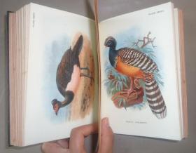 【补图】1896年 Hand-Book of British Birds. 自然史经典《图本猎鸟手册》3/4小牛皮精装 48张绝美珂罗版手工彩色版画 品相绝佳