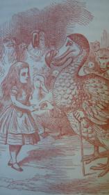 Lewis Carroll _Alice in Wonderland 《爱丽丝漫游奇境记》JOHN TENNIEL 绘本 配补Arthur Rackham绝美插图