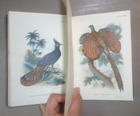 【补图】1896年 Hand-Book of British Birds. 自然史经典《图本猎鸟手册》3/4小牛皮精装 48张绝美珂罗版手工彩色版画 品相绝佳