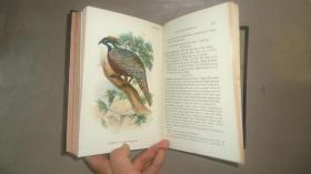 【补图】1896年 Hand-Book of British Birds. 自然史经典《图本猎鸟手册》3/4小牛皮精装 48张绝美珂罗版手工彩色版画 品相绝佳