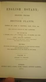 1883年 Sowerby English Botany (Volume X) 西方植物学经典《索尔比英国本草图谱》第10辑 《灯芯草科》