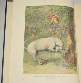 1929年 THE BOOK OF ANIMAL TALES. 少儿自然经典《动物传奇录》布面满堂烫金彩绘精装 珍贵初版本