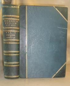 1883年 Sowerby English Botany (Volume X) 西方植物学经典《索尔比英国本草图谱》第10辑 《灯芯草科》