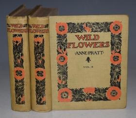 1922年ANNE PRATT - Wild Flowers  植物学经典《普拉特野花图谱》2辑全 192张手工上色珂罗版彩色版画