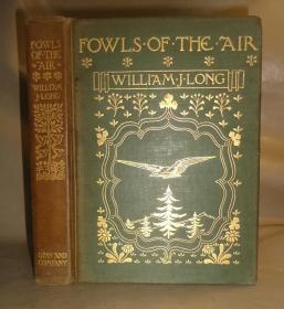 1901年William J. Long - Fowls Of The Air 动物文学经典《空中飞鸟》珍贵早期版本 大量雕版版画插图 金碧辉煌