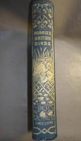 【补图】1870年  F.O. MORRIS - A History of British Birds《图本英国鸟经》第6辑水鸟卷  珍贵满金彩绘豪华版大开本