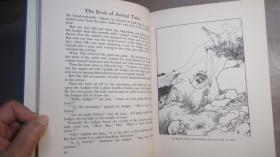 1929年 THE BOOK OF ANIMAL TALES. 少儿自然经典《动物传奇录》布面满堂烫金彩绘精装 珍贵初版本