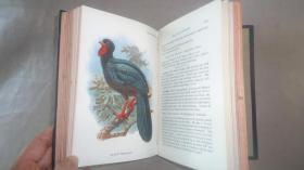 【补图】1896年 Hand-Book of British Birds. 自然史经典《图本猎鸟手册》3/4小牛皮精装 48张绝美珂罗版手工彩色版画 品相绝佳