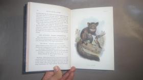 1896年 A Hand-book to the Primates.《图本灵长类动物手册》珍贵初版本 3/4小牛皮豪华装帧2册全  41张手工上色珂罗版彩色插图 绝伦美艳 品佳