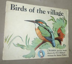 1893年 Birds of The Village. 《乡村鸟类图册》多张绝美珂罗版手工彩色版画 品佳
